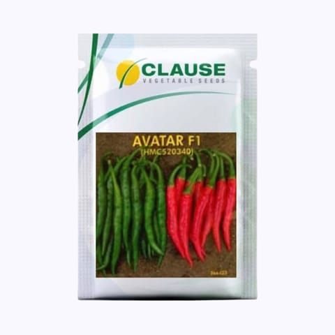 Clause Avatar Chilli Seeds