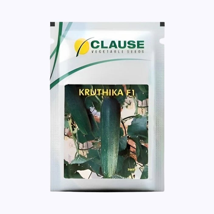 Clause Kruthika Cucumber Seeds