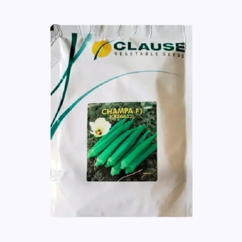 Clause Champa Gold  Bhendi (Okra) Seeds