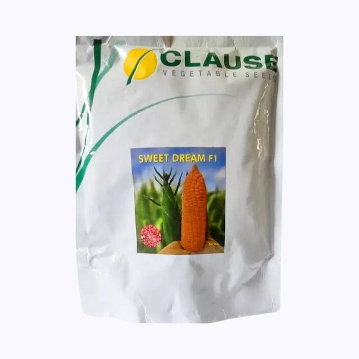 Clause Sweet Dream Sweetcorn Seeds