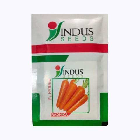 इंडस राधिका गाजर के बीज