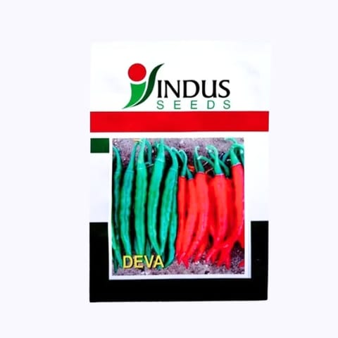 Indus Deva Chilli Seeds