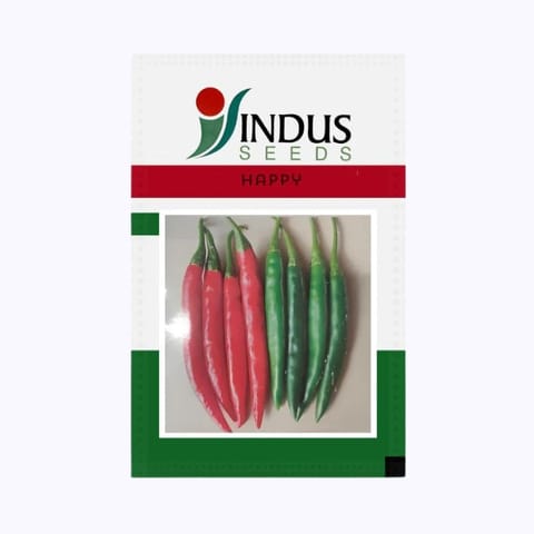 Indus Happy Chilli Seeds