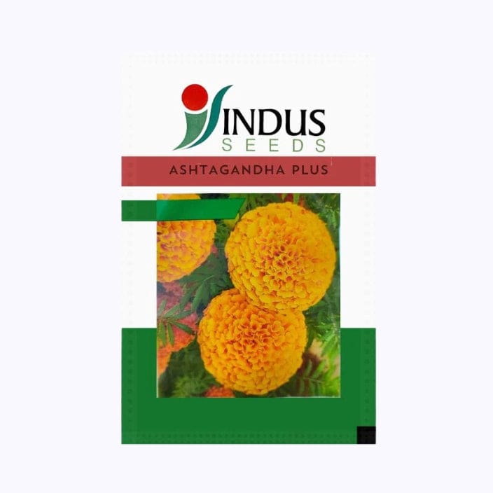 Indus Ashtagandha Plus Marigold