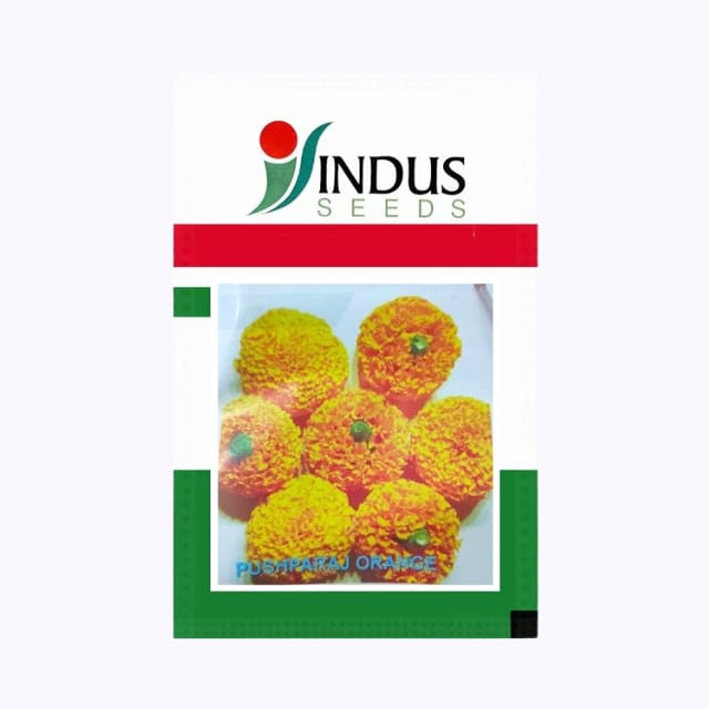 Indus Pushparaj Marigold Flower Seeds