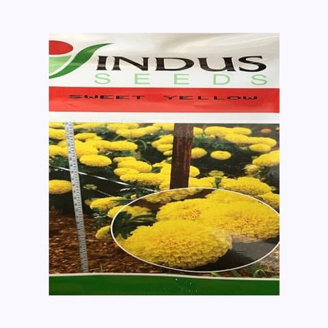 Indus Sweet Yellow Marigold Flower Seeds