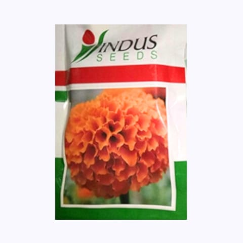 Indus Sweet Orange Marigold Flower Seeds