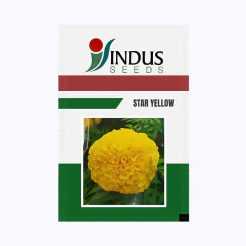 Indus Star Yellow Marigold Flower Seeds