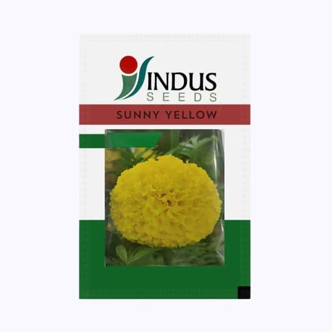 Indus Sunny Yellow Marigold Flower Seeds