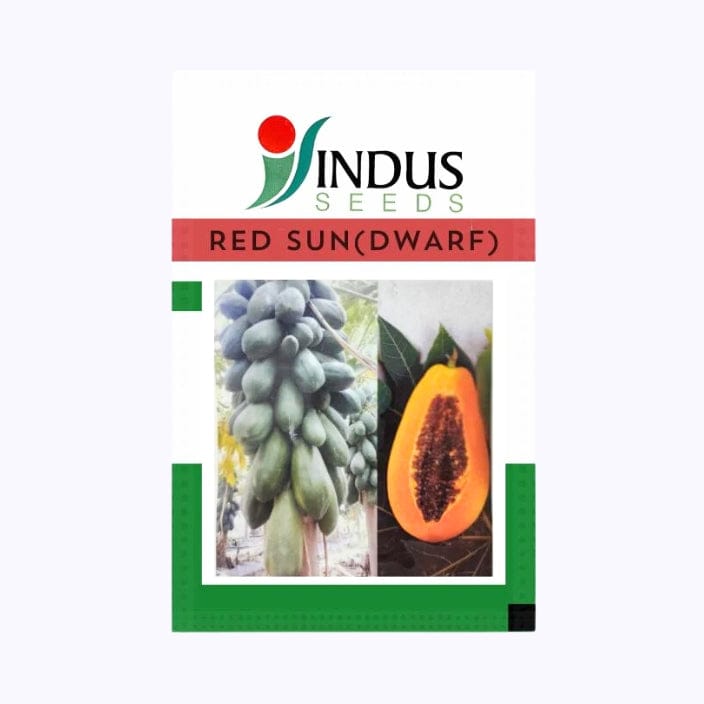 Indus Red Sun (Dwarf) Papaya Seeds
