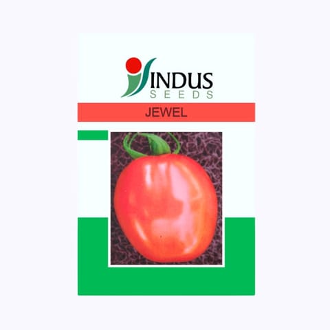 Indus Jewel Tomato Seeds