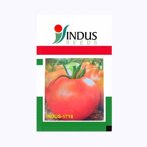 Indus 1718 Tomato Seeds