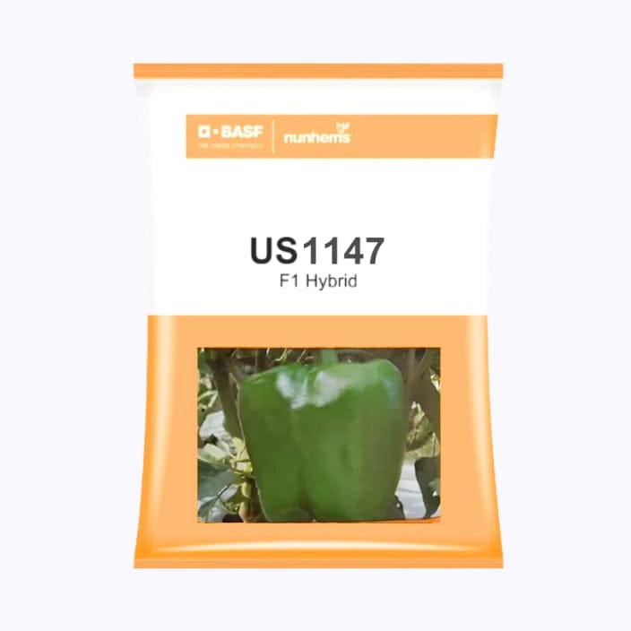 BASF ननहेम्स US 1147 शिमला मिर्च के बीज