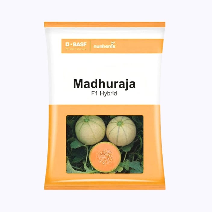 BASF Nunhems Madhuraja Muskmelon Seeds