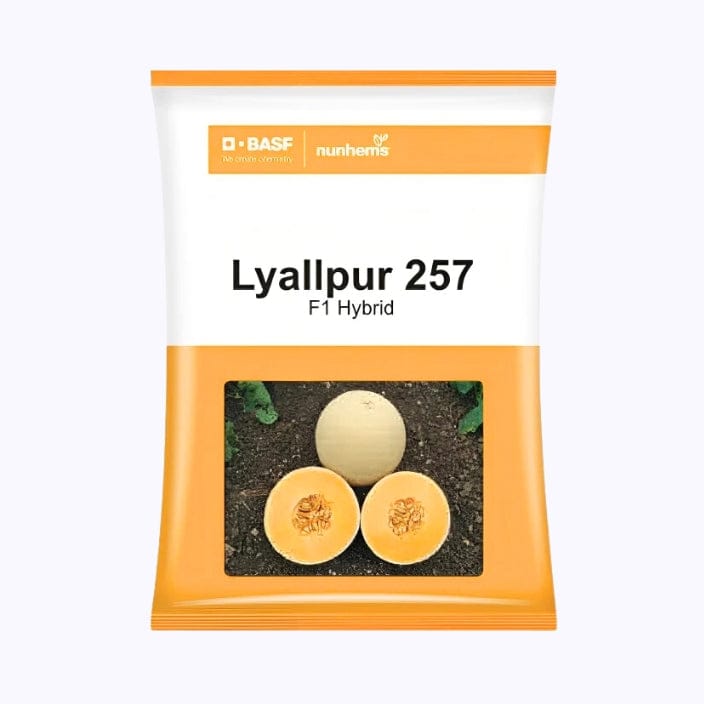 BASF Nunhems Lyallpur 257 Muskmelon Seeds