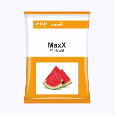 BASF Nunhems Maxx Watermelon Seeds