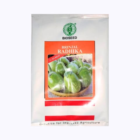 Bioseed Radhika Brinjal Seeds