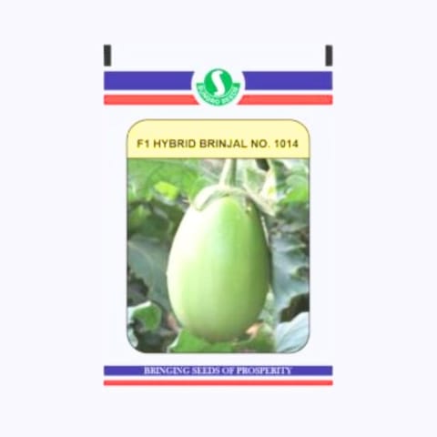 Sungro 1014 Brinjal Seeds