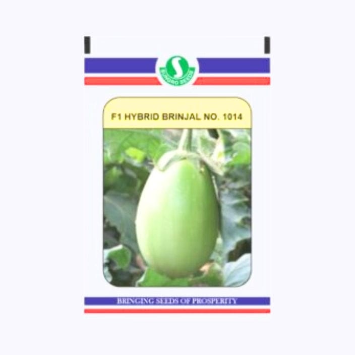 Sungro 1014 Brinjal Seeds