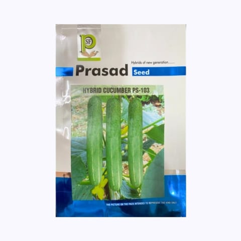 Prasad PS-103 Cucumber Seeds