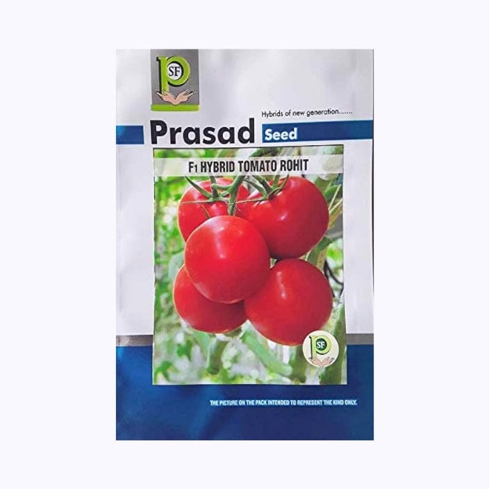 Prasad Rohit Tomato Seeds