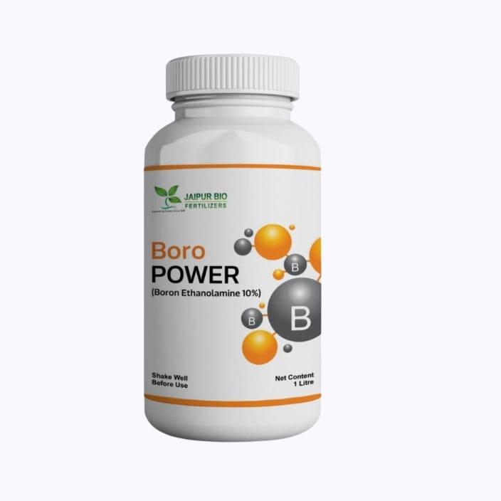 Jaipur Bio Fertilizers - Boro Power