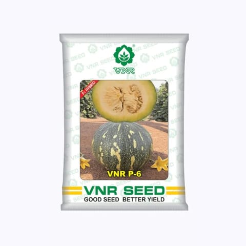 VNR P6 Pumpkin Seeds