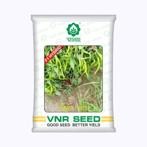 VNR 285 Chilli Seeds