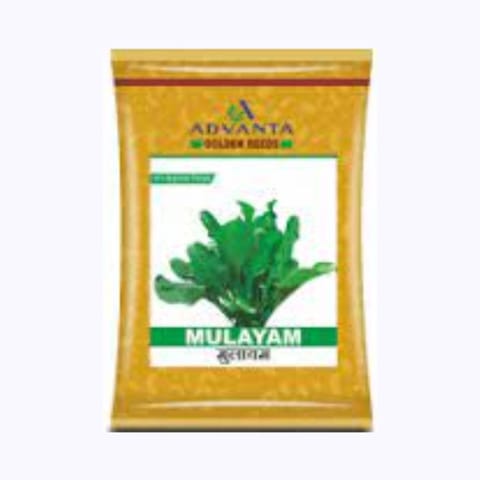 Advanta Golden Mulayam Palak Seeds