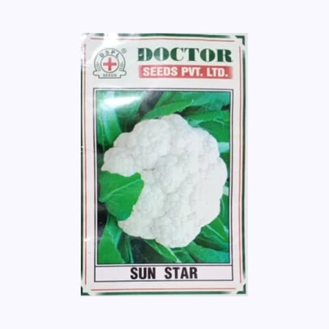 Doctor Sun Star Cauliflower Seeds