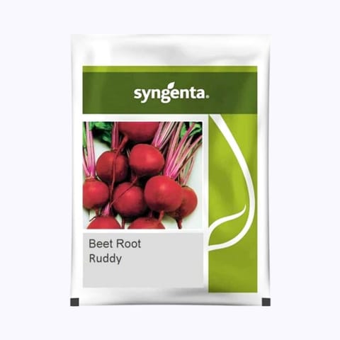 Syngenta Ruddy Beet Root Seeds