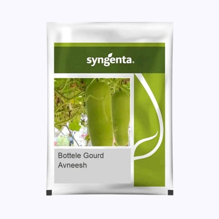 Syngenta Avneesh Bottle Gourd Seeds