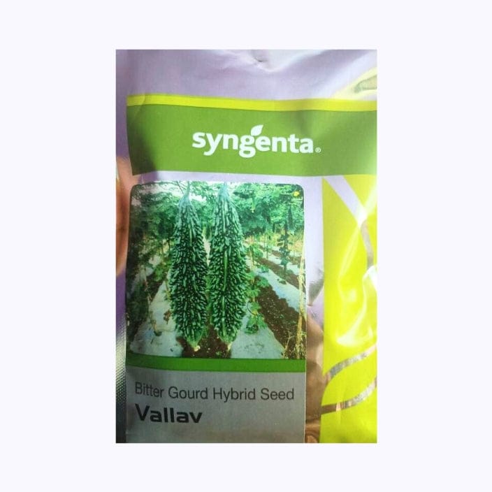 Syngenta Vallav Bitter Gourd Seeds