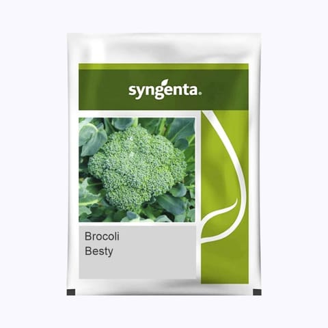 Syngenta Besty Broccoli Seeds