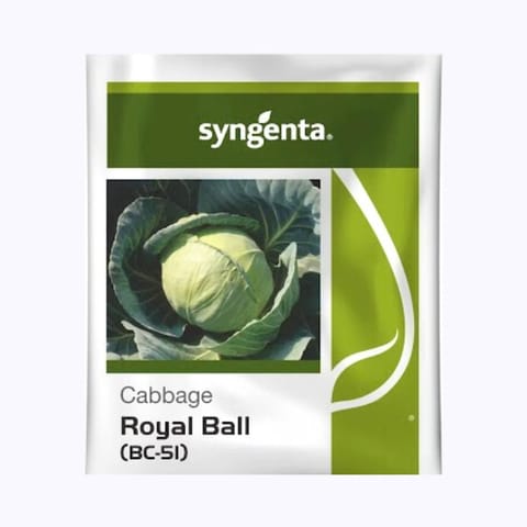 Syngenta Royal Ball (BC-51) Cabbage Seeds