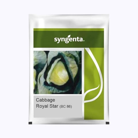 Syngenta Royal Star (BC-86) Cabbage Seeds