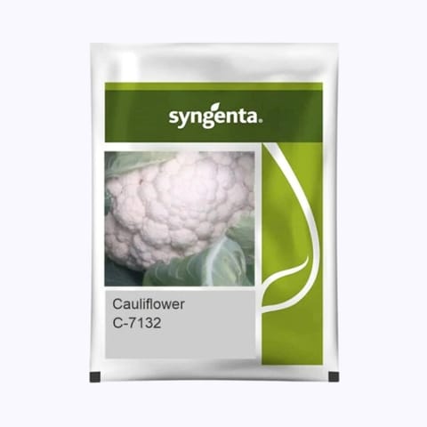 Syngenta C-7132 Cauliflower Seeds