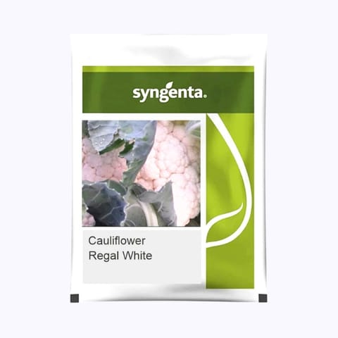 Syngenta CFL Regal White Cauliflower Seeds