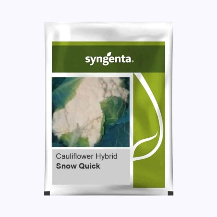 Syngenta Snow Quick Cauliflower Seeds