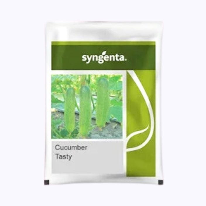 Syngenta Tasty Cucumber Seeds