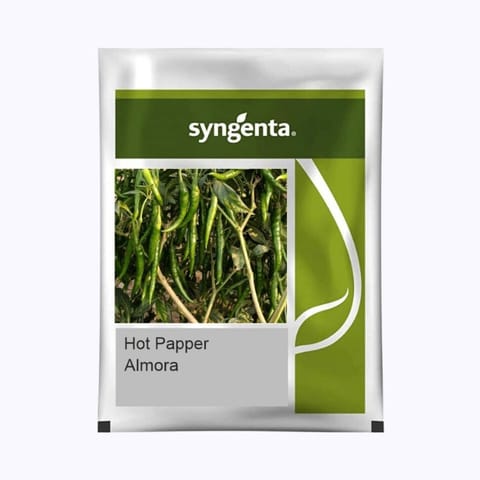 Syngenta Almora Chilli Seeds