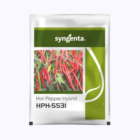 Syngenta HPH-5531 Chilli Seeds