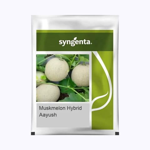 Syngenta Aayush Muskmelon Seeds