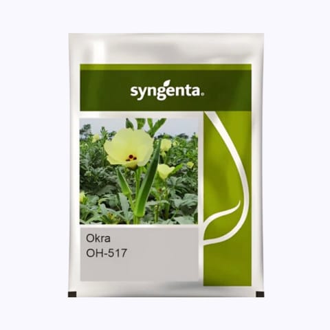 Syngenta OH-517 Bhindi Seeds