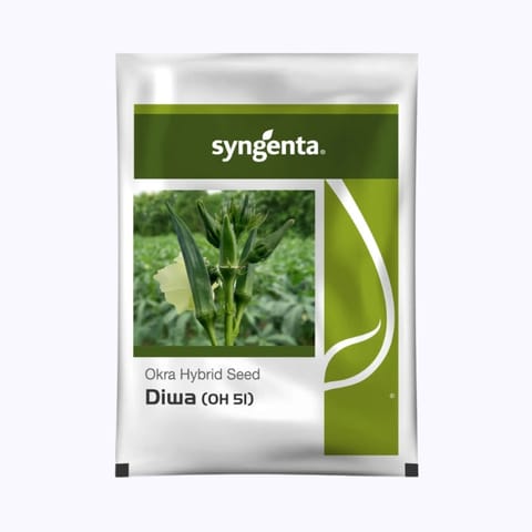Syngenta Diwa (OH 51) Bhindi Seeds