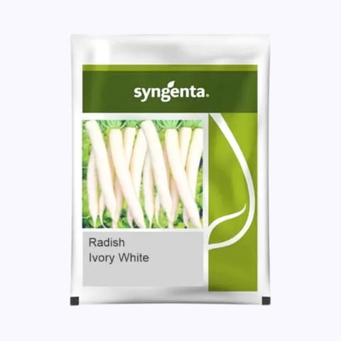 Syngenta Ivory White Radish Seeds