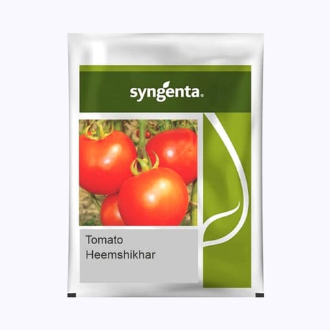 Syngenta Heemshikhar Tomato Seeds