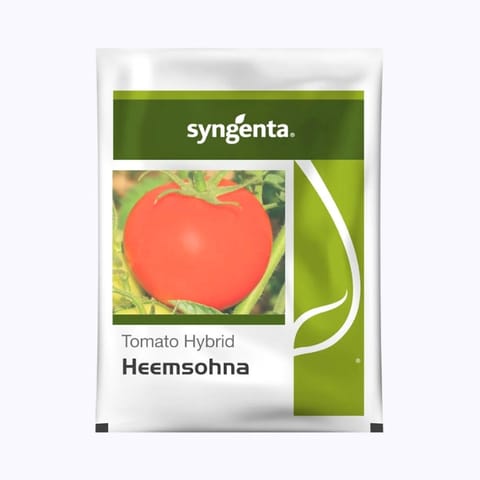 Syngenta Heemsohna Tomato Seeds