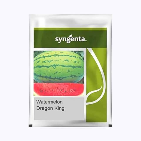 Syngenta Dragon King Watermelon Seeds