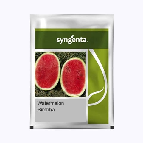 Syngenta Simbha Watermelon Seeds